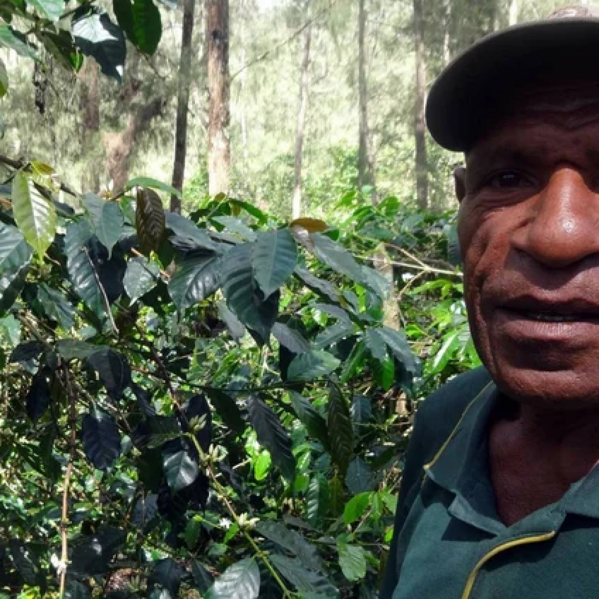 Papua New Guinea Elimbari