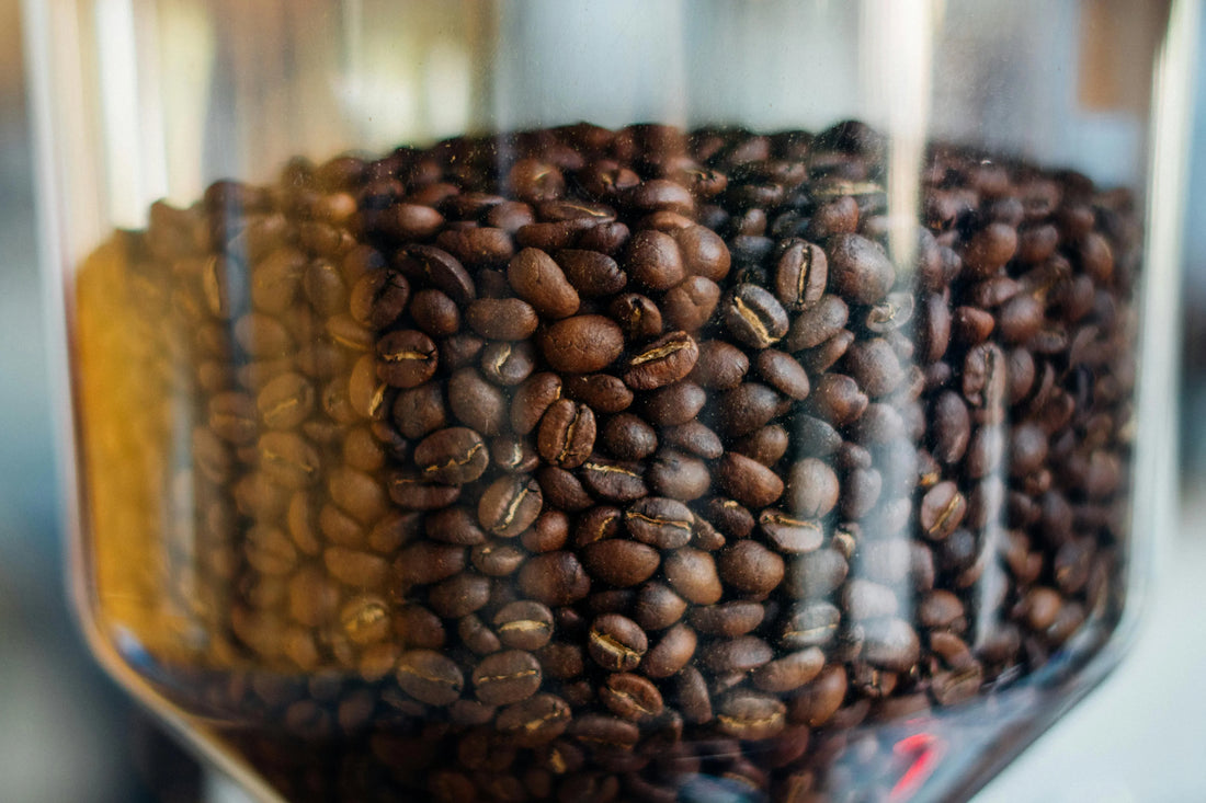 Keeping your coffee fresh: Beans, grind & storage tips