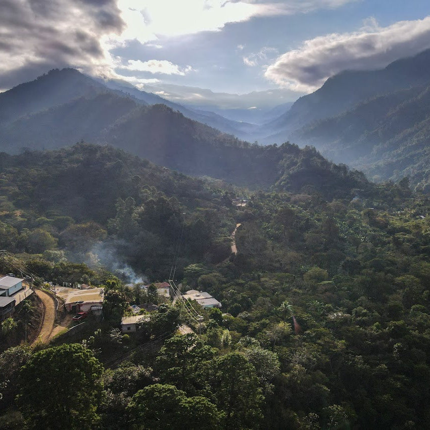 Mexico Sipro Amatenango