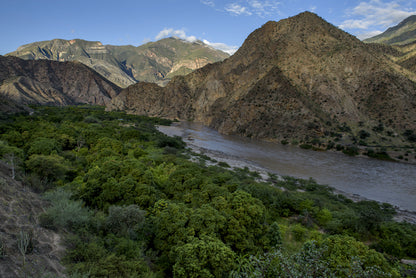 Peru Marañón (Swiss Water Decaf)