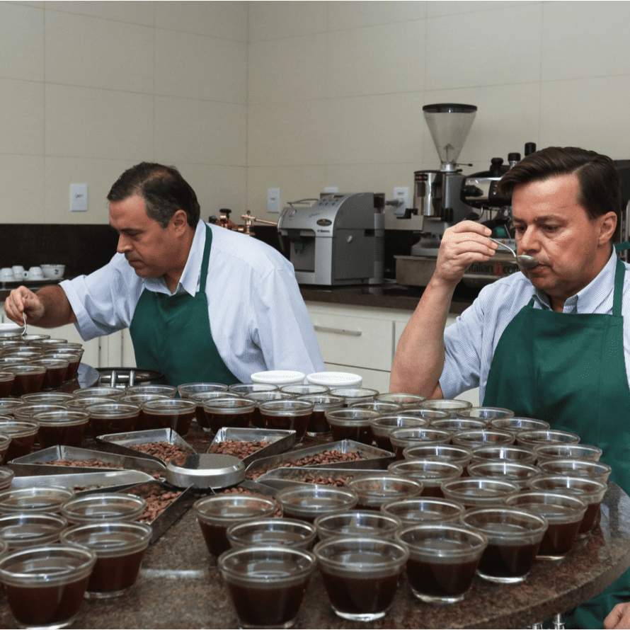 Brazil coffee being cupped for quality