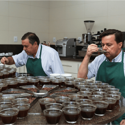 Brazil coffee being cupped for quality