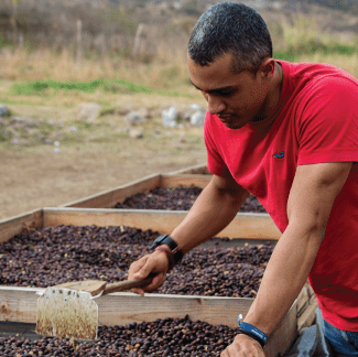 Honduras Santa Barbara