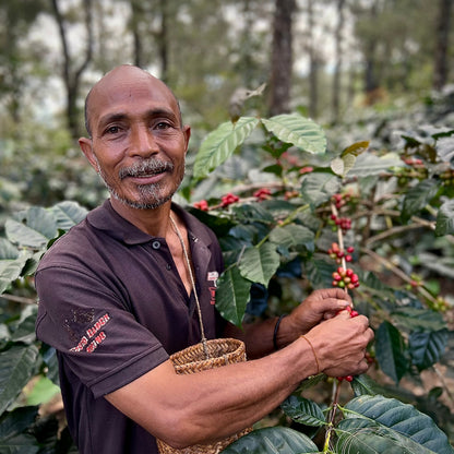 Timor Leste Eratoi