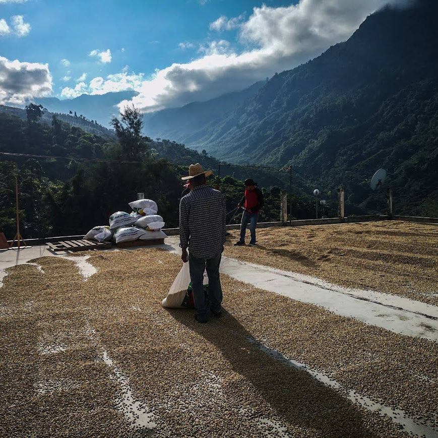 Mexico Sipro Amatenango