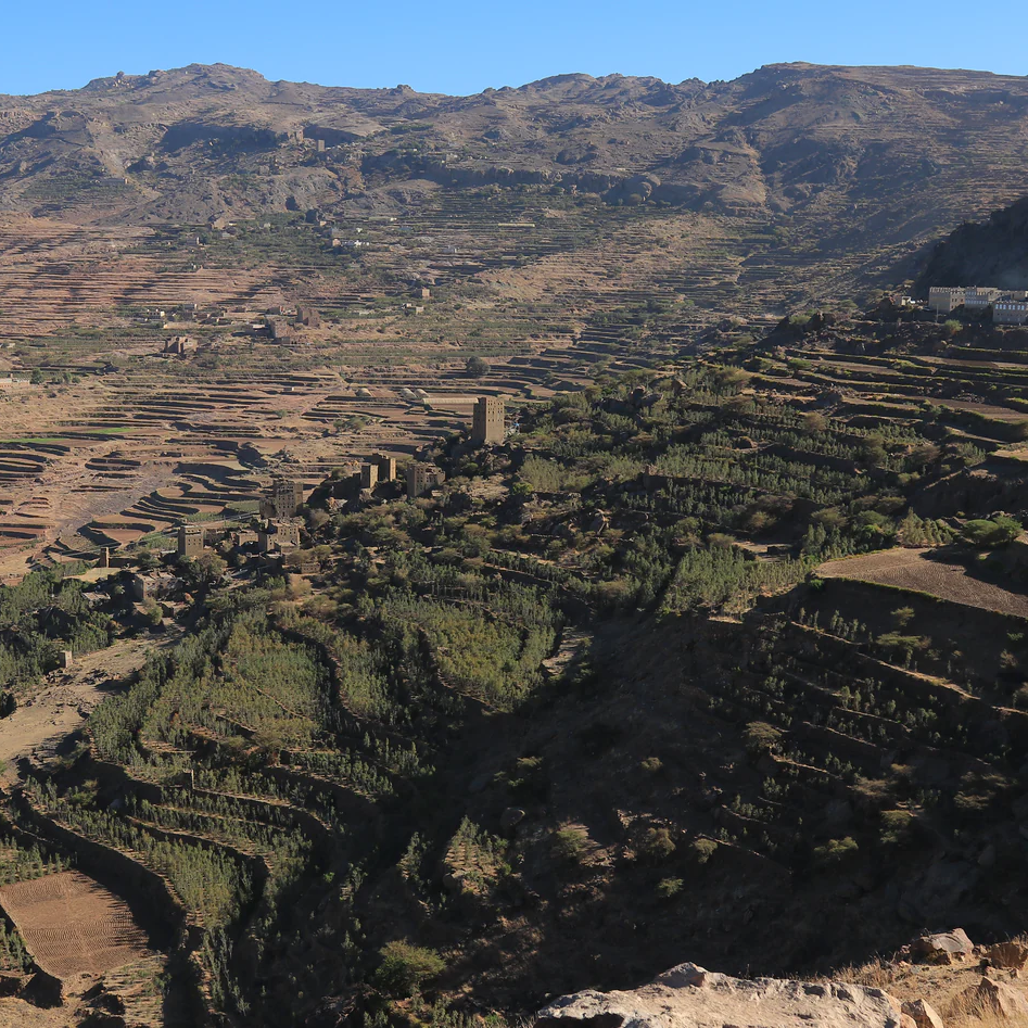 One of the mountainous terraces of Al Hayma in Yemen where coffee is grown at high altitudes of aorund 2250m