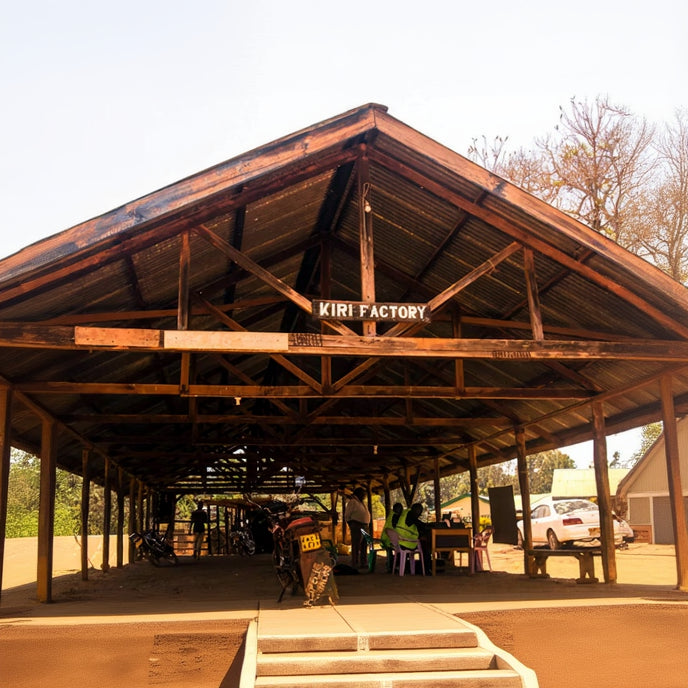 Thunguri Coffee processing co-operative in Kiri, Kenya