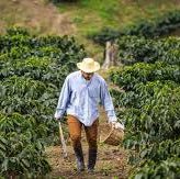 Honduras Santa Barbara