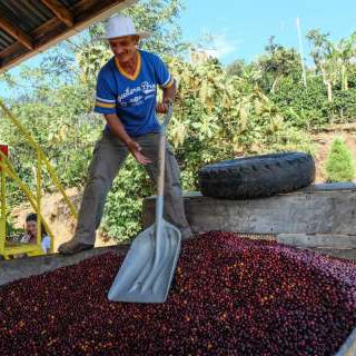Mexico Finca Monte Azul